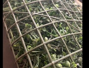 Artificial Wall Grass for Home Decor