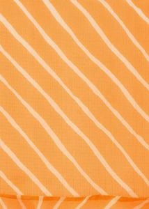 Elegant Striped Saree