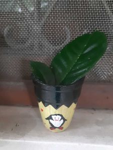 Penguin Hand Painted Kulhad