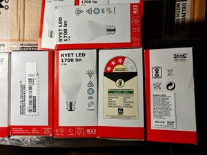 RYET LED 1700 lm Light Bulb