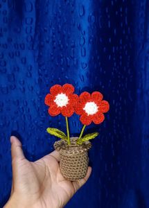 Crochet Fridge Magnets