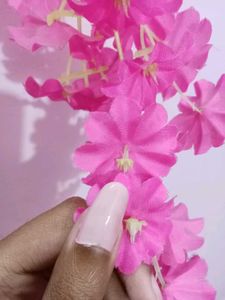 lippies and nailpolishes 💅🏻