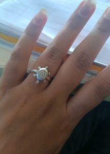 Turtle pure silver Ring