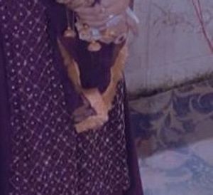 Dupatta Laces