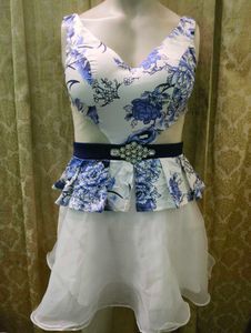 Floral Print Mini Dress