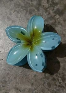 Floral Hair Clips (Pack Of 2)