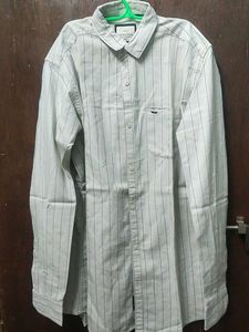Regular Shirt With Striped Long Sleeve ButtonDown