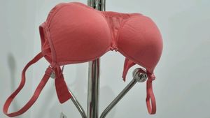Lightly Paded Peach Coloured Bra(32 Bust)
