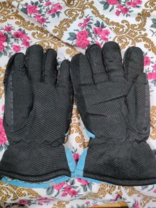 Jing Long Ski Gloves