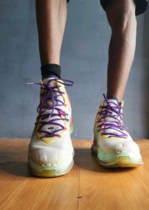 Nike Jordan LeBron 19