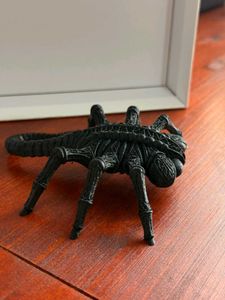 Gothic Facehugger – Cathedral of Nightmare