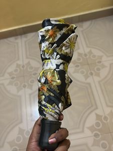 New Umbrella