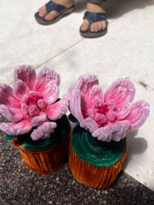 Flower Pot