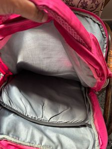 Skybags Pink Backpack
