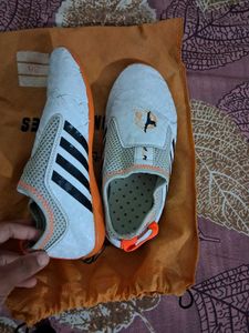 Taekwondo Met Shoes