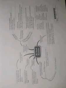 Oswaal Social Science Class 9th Question Bank
