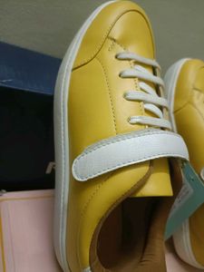 Stylish Mast And Harbour Casual Shoes