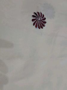 Elegant Embroidered saree