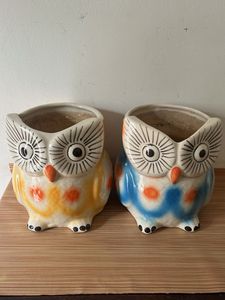 Owl ceramic Planters (Quantity-2)