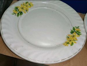 Floral Dinner Plate