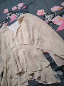 Butterfly Peplum Top With Light Shimmer
