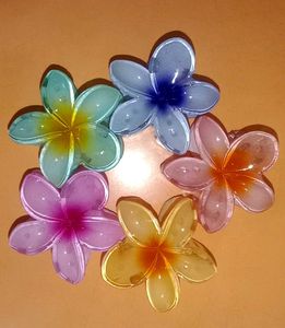 Flower Hair Clips🌸🌼