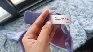 Clovia Honeycomb Push-Up Bra