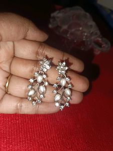 Elegant Dangle Earrings