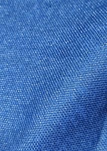 blue colour shiny coat