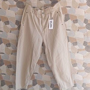 Beige Zudio Pants
