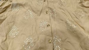 Indo Western Beige Shirt