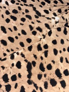Leopard Print Bodycon Dress