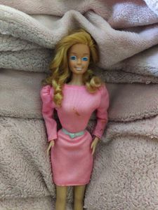 Big Bundle Of Barbie Doll