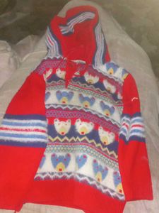 Cute Kids Hooded Sweater