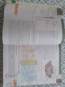 NCERT Class 12 Biology (COVERED)