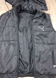 Padded Jacket with Hood