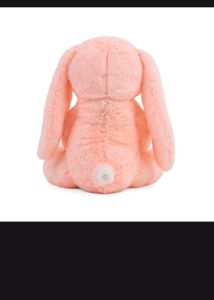 Adorable Plush Bunny-Mirada