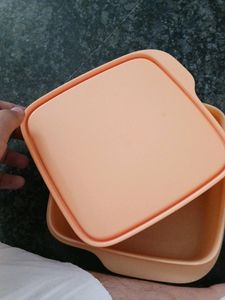 Tupperware Tiffin Box