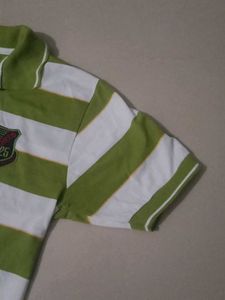 Striped Polo Shirt - Green &amp; White