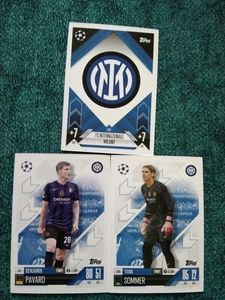Inter Milan's Defensive Duo