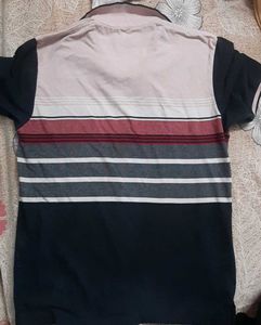 Striped Polo Shirt
