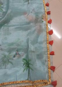 Organza Saree