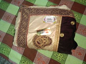 Elegant Embellished Saree