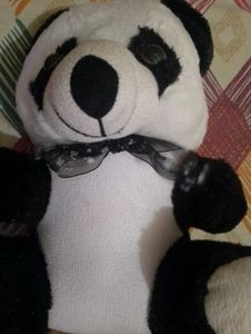 A Teddy Bear