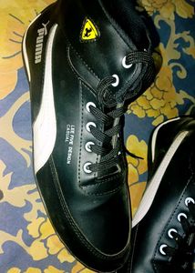 Puma Mid Top Sneaker For Men