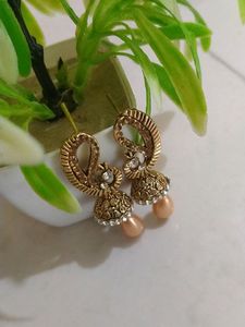 Beautiful Earings
