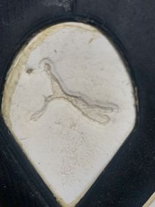 Green Puma Sport Shoes