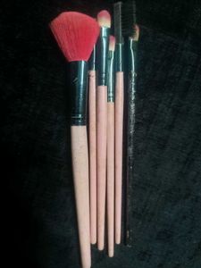 13 Makeup Brushes .