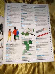 Grolier Children&#39;s Dictionary At Discounted Price