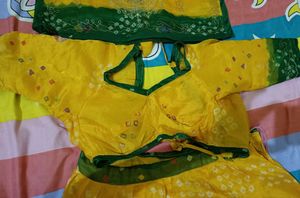 Traditional Rajasthani/ Rajputi Poshak Dress